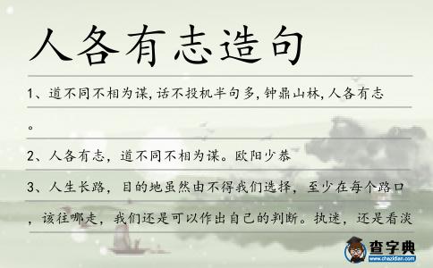 人各有志造句