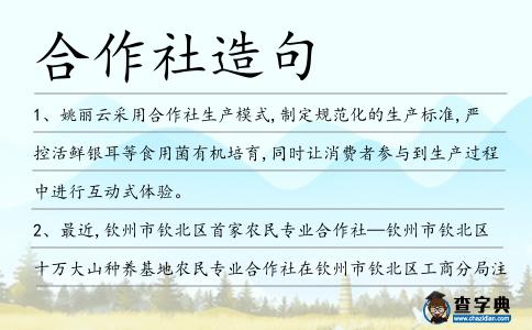 合作社造句