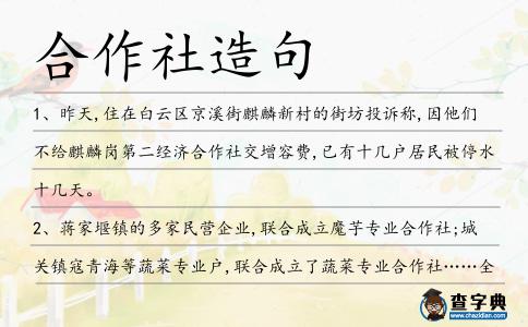 合作社造句