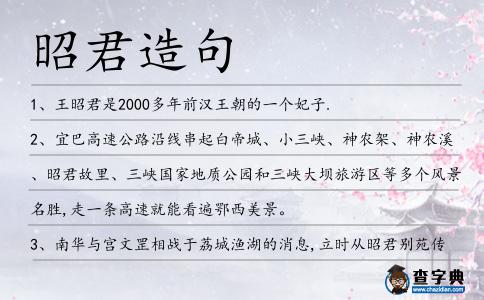 昭君造句