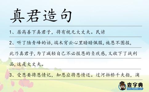 真君造句