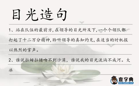 目光造句
