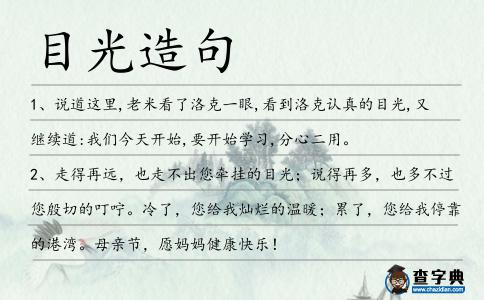 目光造句