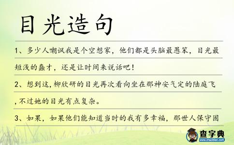 目光造句