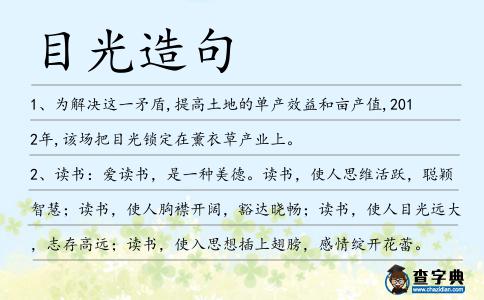 目光造句