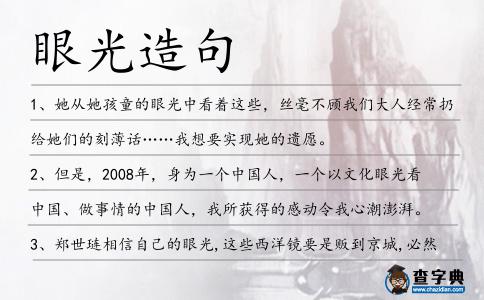 眼光造句