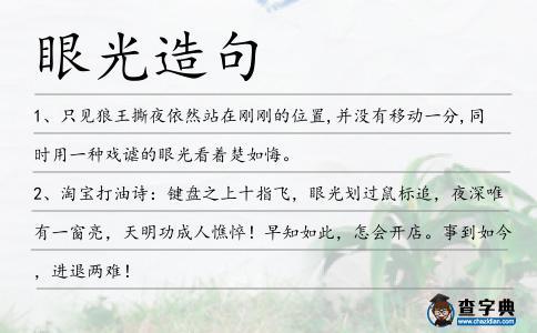 眼光造句
