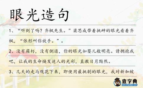 眼光造句