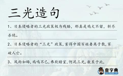 三光造句