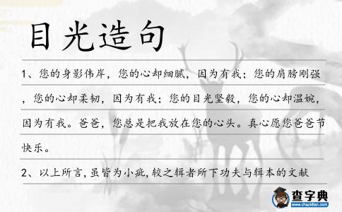 目光造句