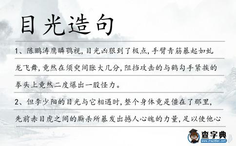 目光造句