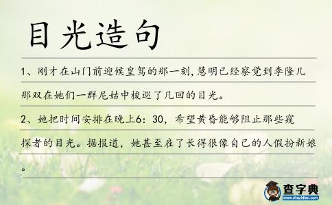 目光造句