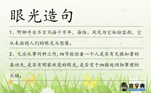 眼光造句