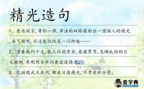 精光造句