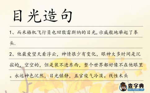 目光造句
