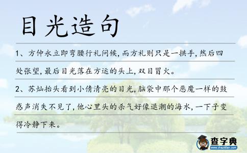 目光造句