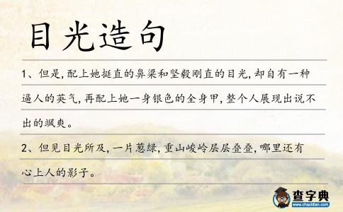 目光造句