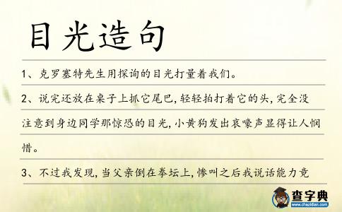 目光造句