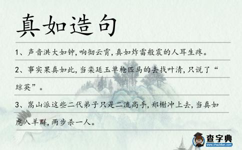 真如造句