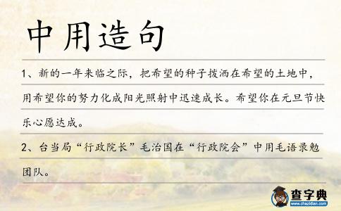中用造句