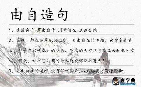 由自造句