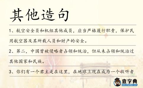 其他造句