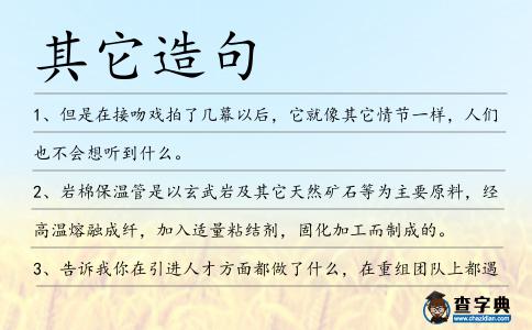 其它造句