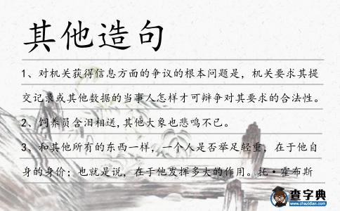 其他造句