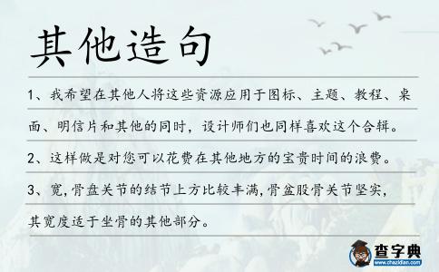 其他造句