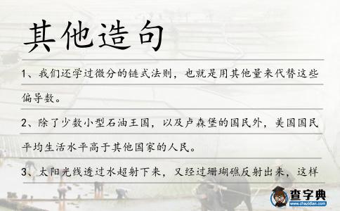 其他造句