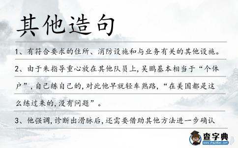 其他造句