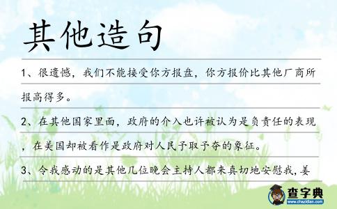 其他造句