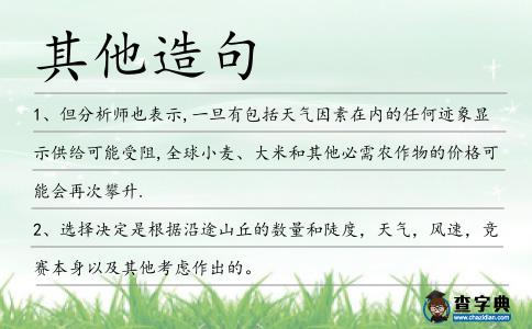 其他造句