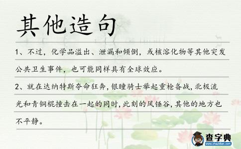 其他造句
