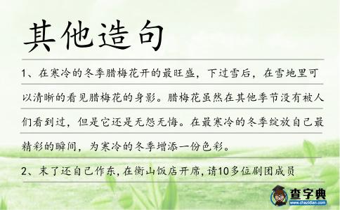 其他造句