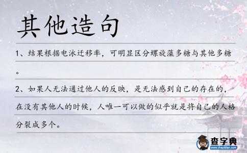 其他造句