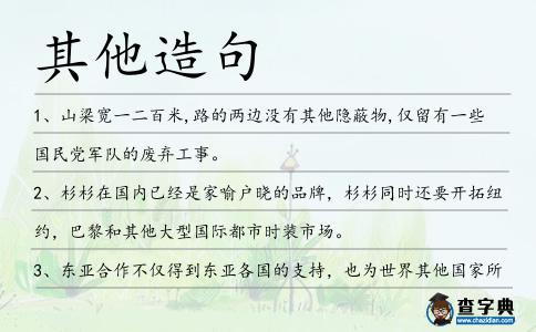 其他造句