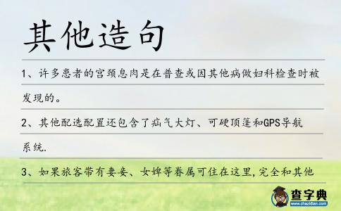 其他造句