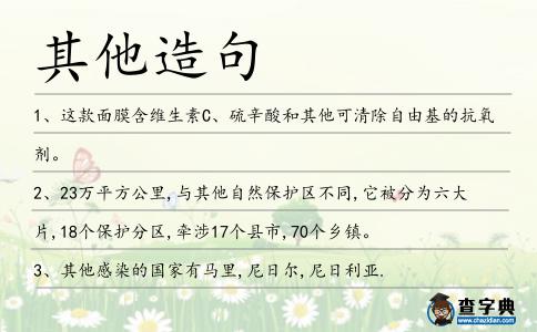 其他造句