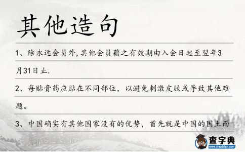 其他造句