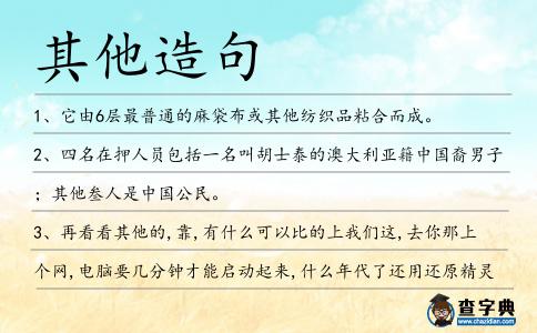 其他造句