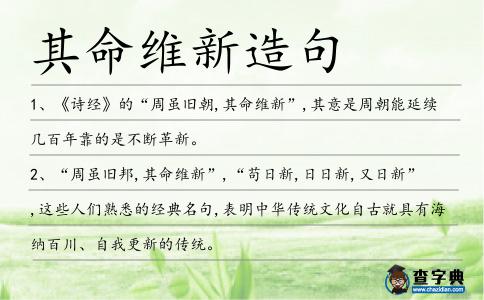其命維新造句