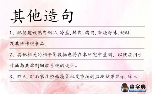 其他造句