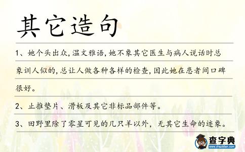 其它造句