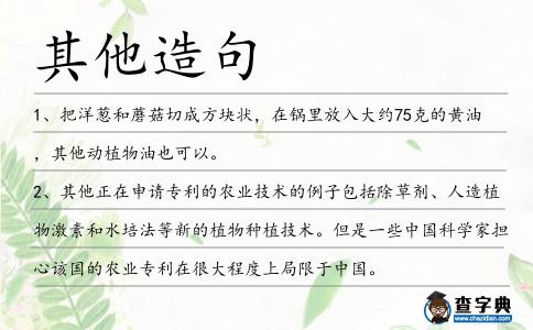 其他造句