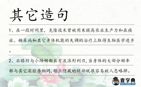 其它造句