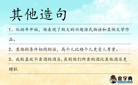其他造句