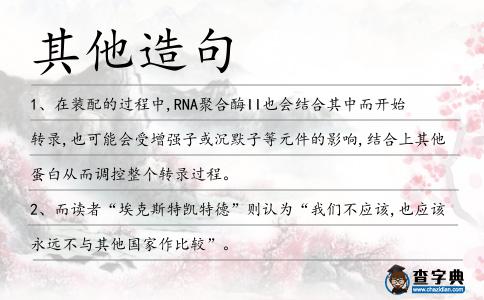 其他造句