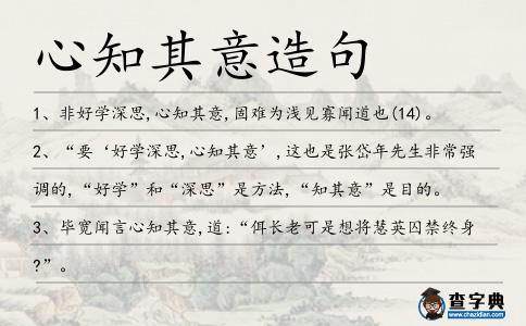 心知其意造句