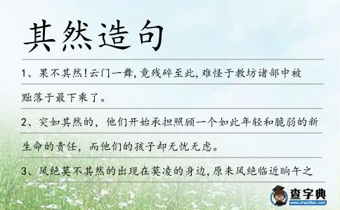 其然造句